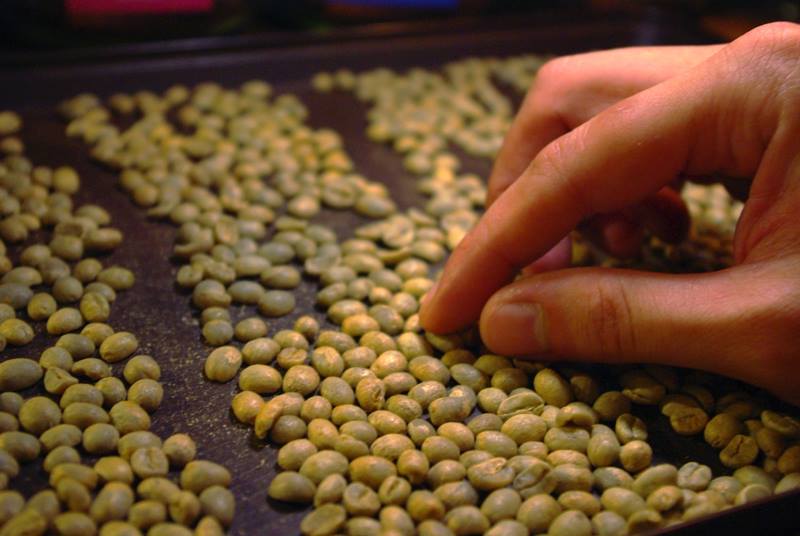 15894478_1289501417755609_1349488237137397632_n